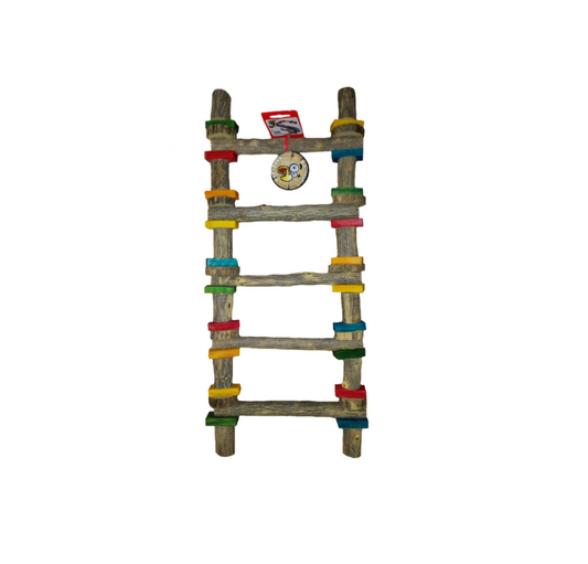 Akwa Sekelbos 5 Step Ladder