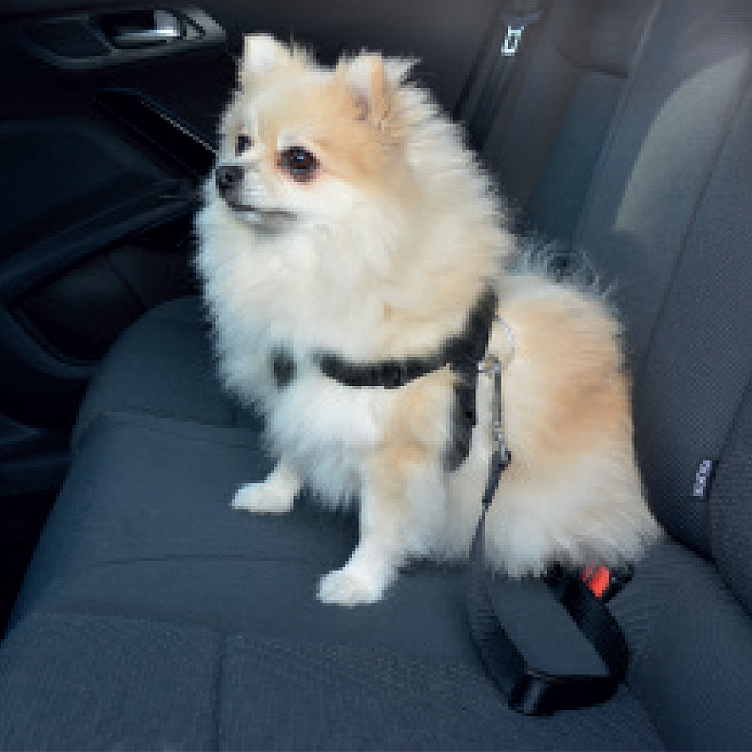 Duvo Dog Car Safety Belt Harness