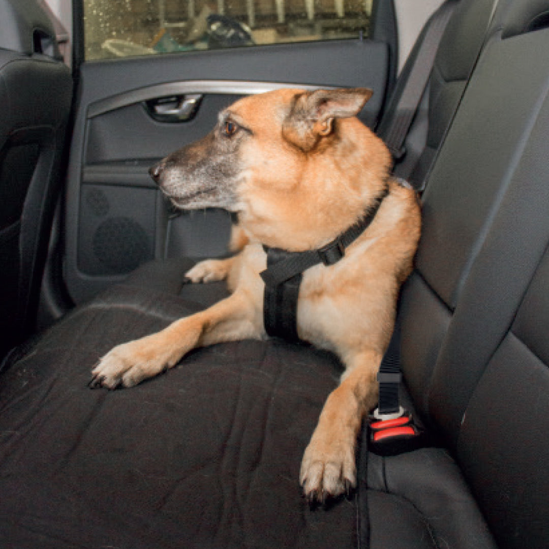 Duvo Dog Car Safety Belt Harness