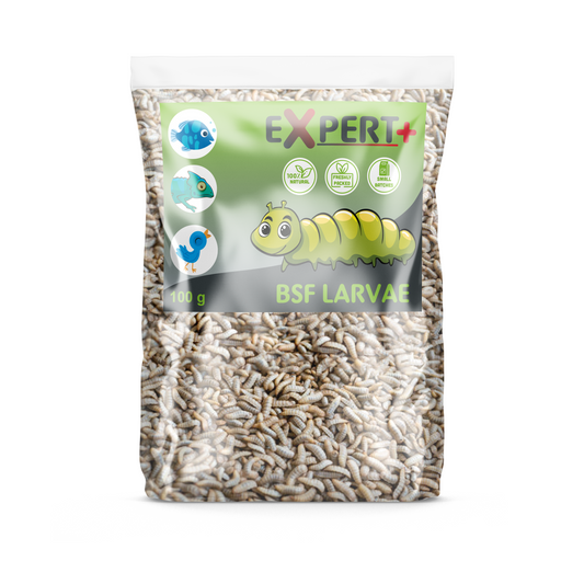 Expert+ BSF Larvae 100g