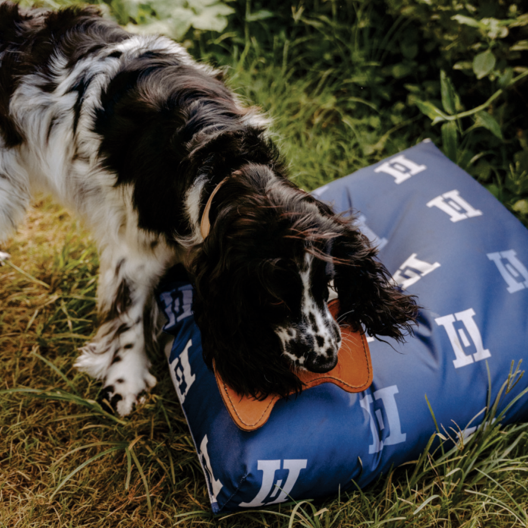 Huntlea Dog Toy Bone Double Leather