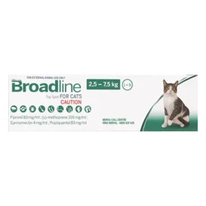 Broadline Cat Large