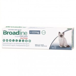 Broadline Cat Small