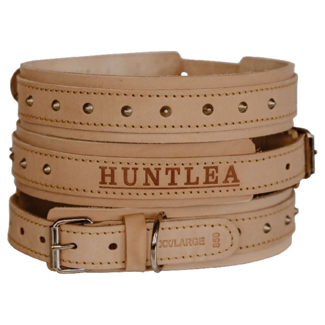 Huntlea Impala Bulldog Studded Collar