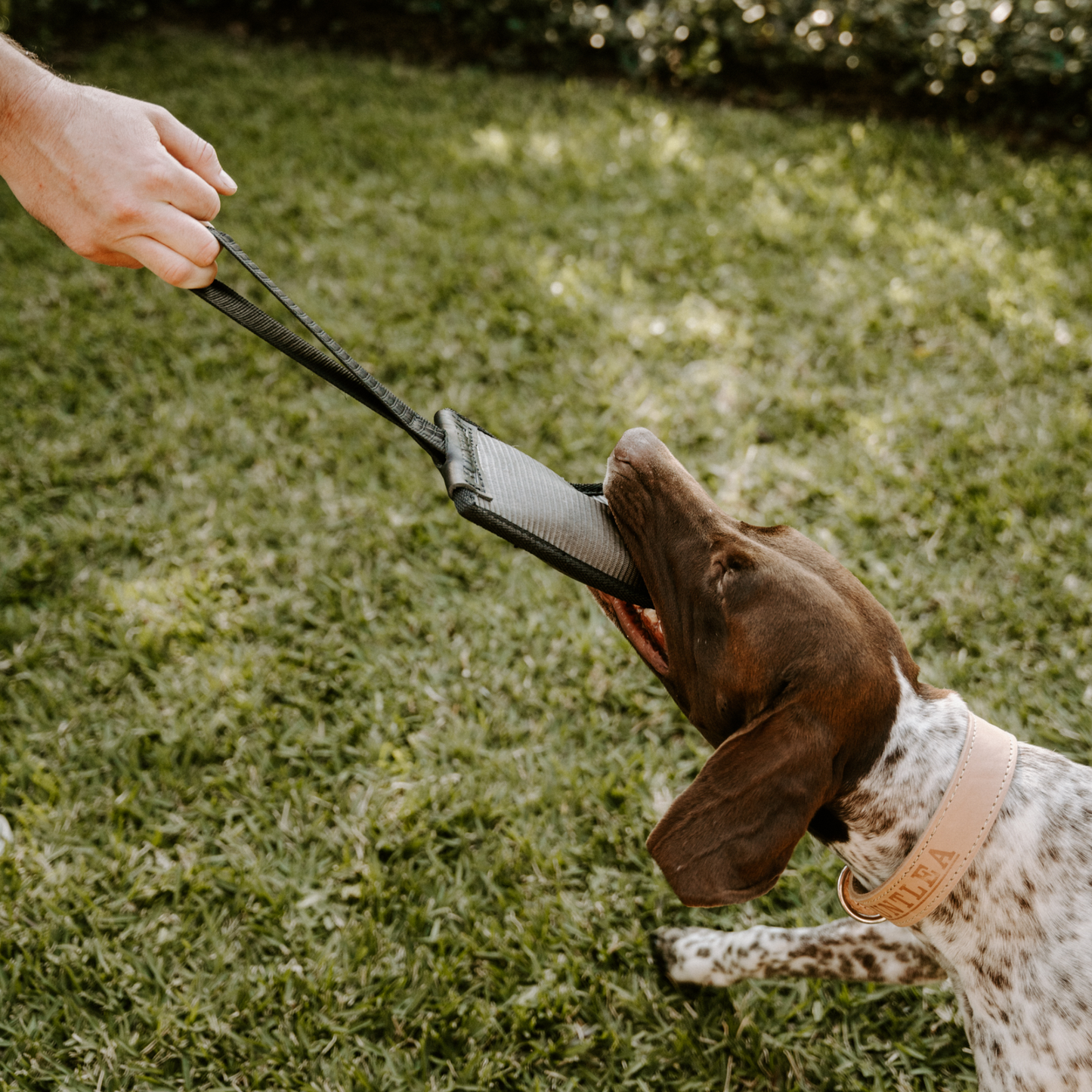 Huntlea Duplex Dog Toy With Handle