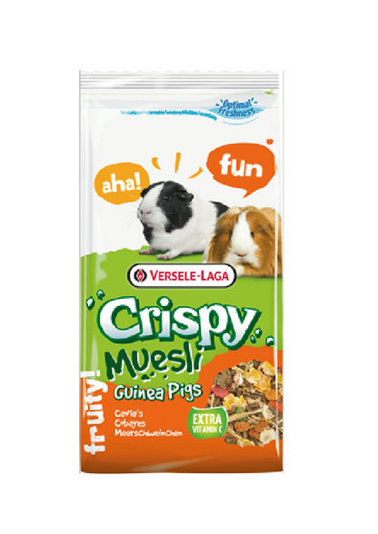 Crispy Muesli Guinea Pigs