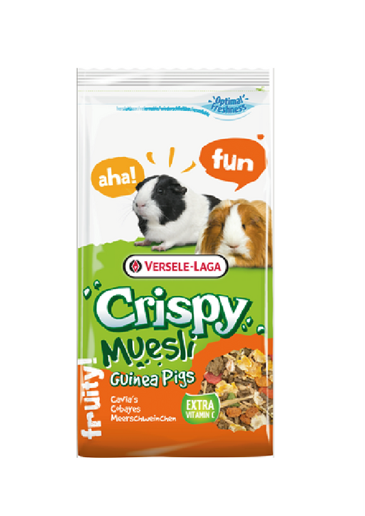 Crispy Muesli Guinea Pigs