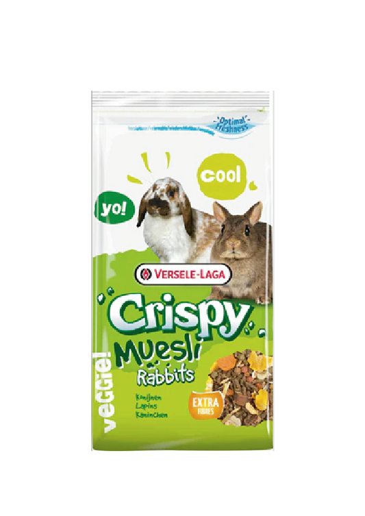 Crispy Muesli Rabbits