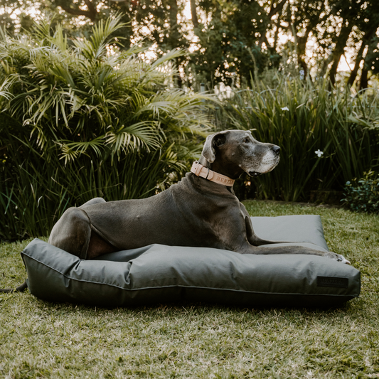 Huntlea Kalahari Napper Bed Dark Grey