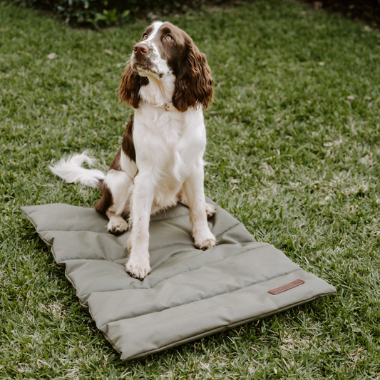 Huntlea Kalahari Travel Mat