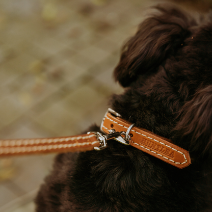 Huntlea Leopard Collar Small Puppy