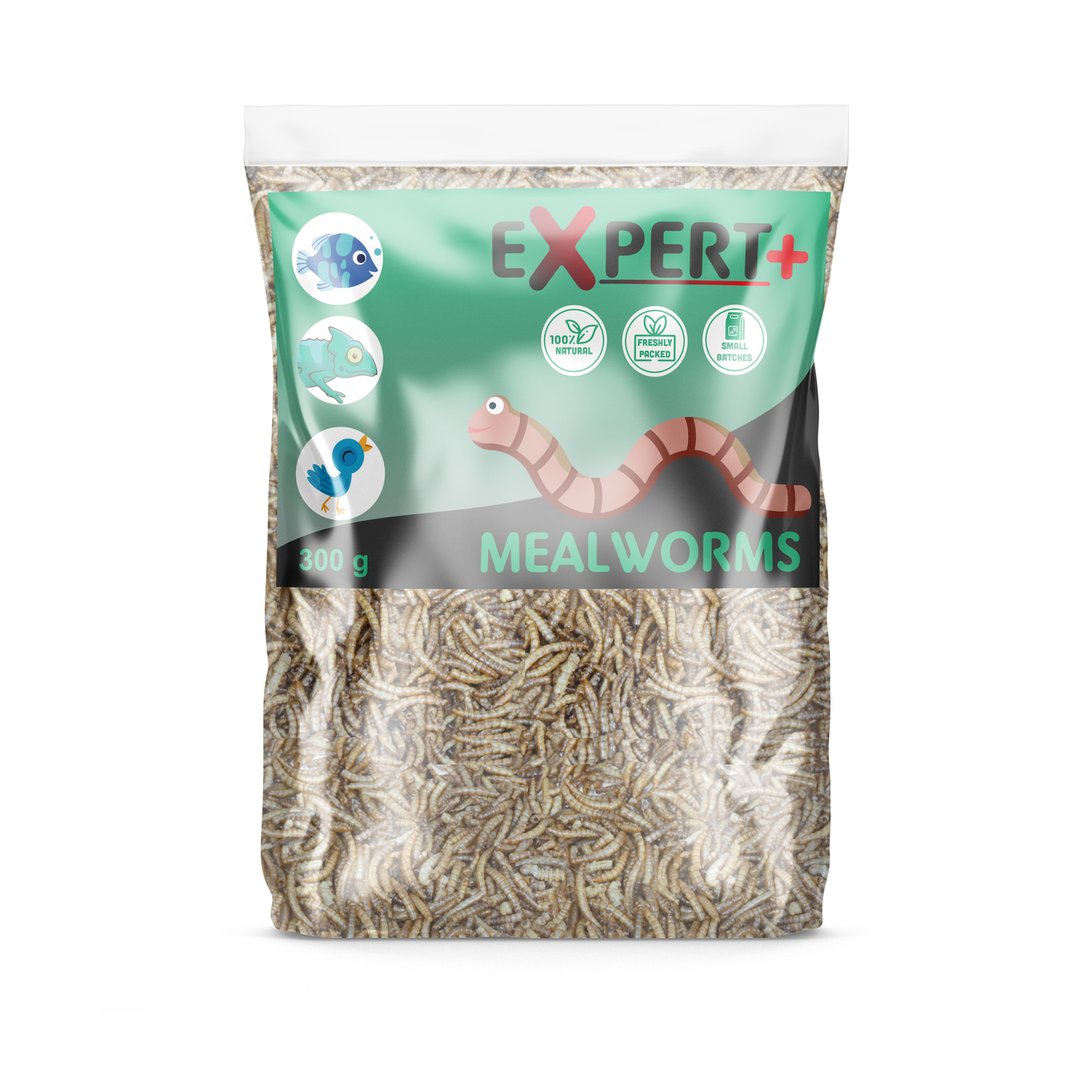 Expert+ Mealworms