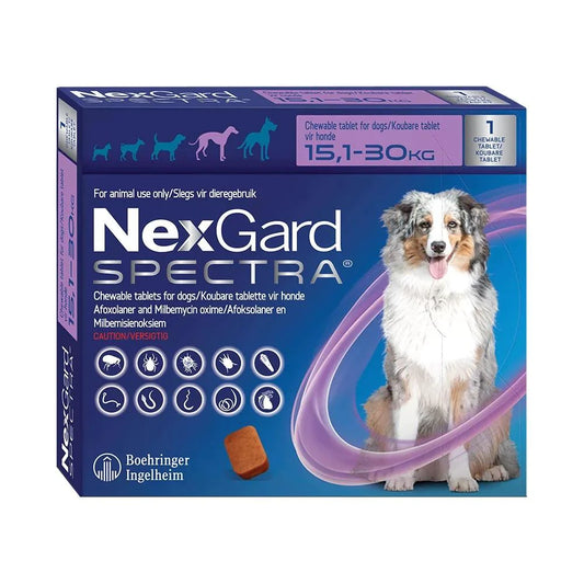 Nexgard Spectra Large - Single