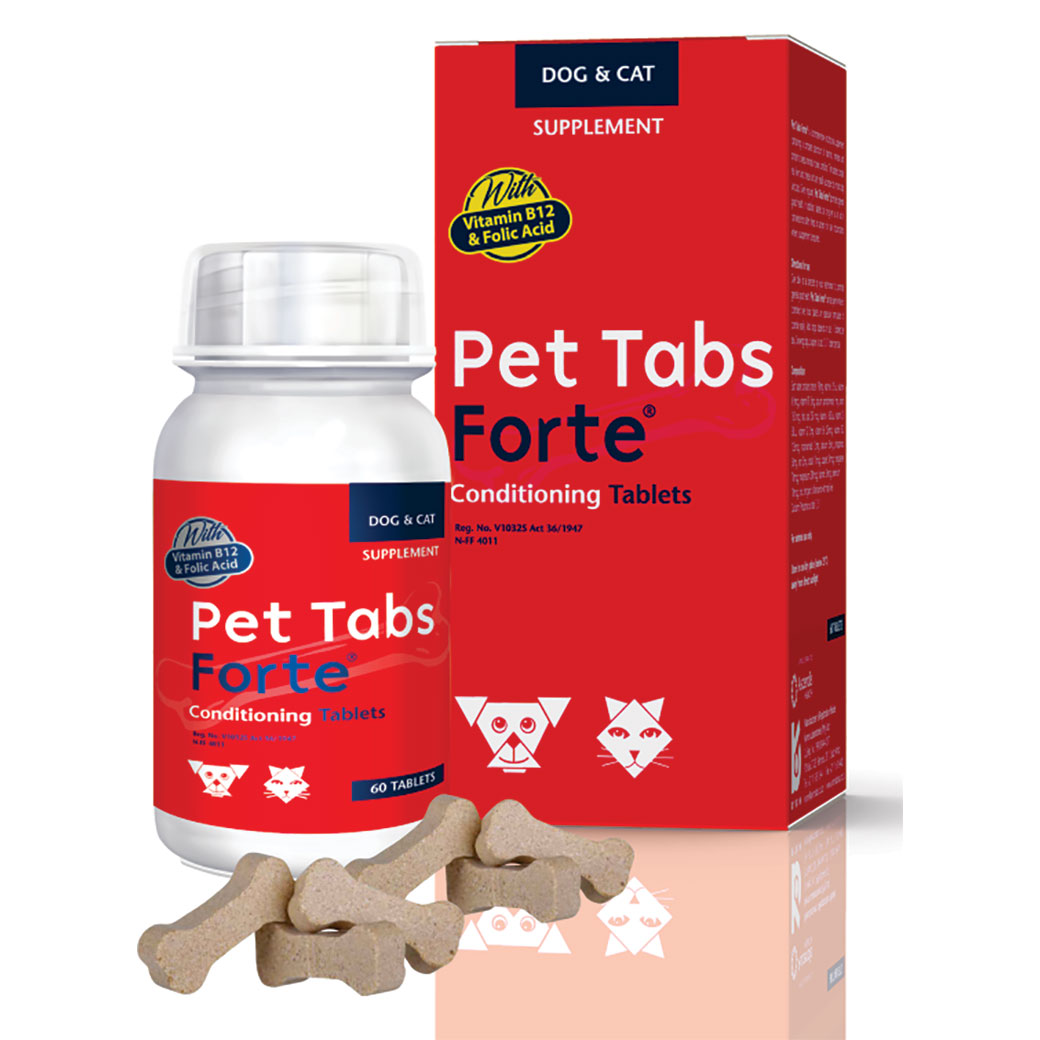 Kyron Pet Tabs Forte 60