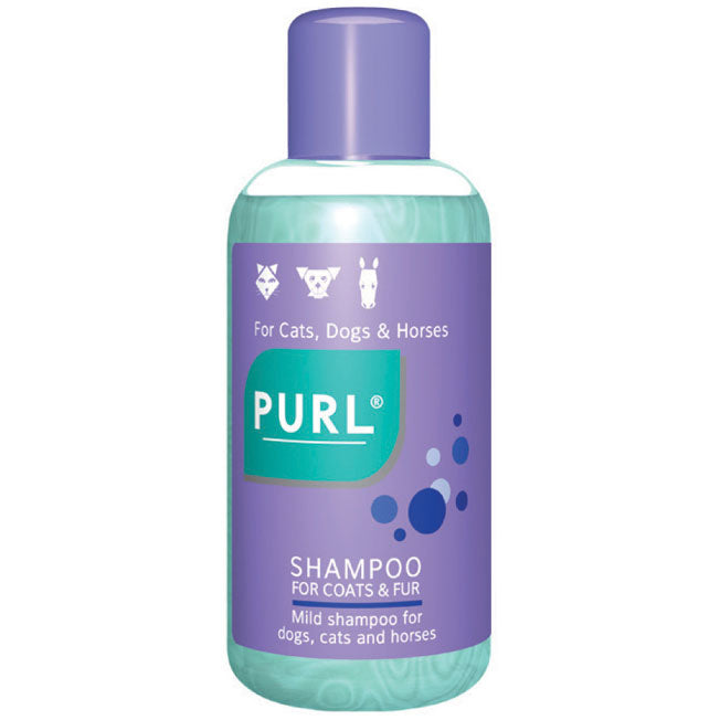 Kyron Purl Regular Shampoo 500ml