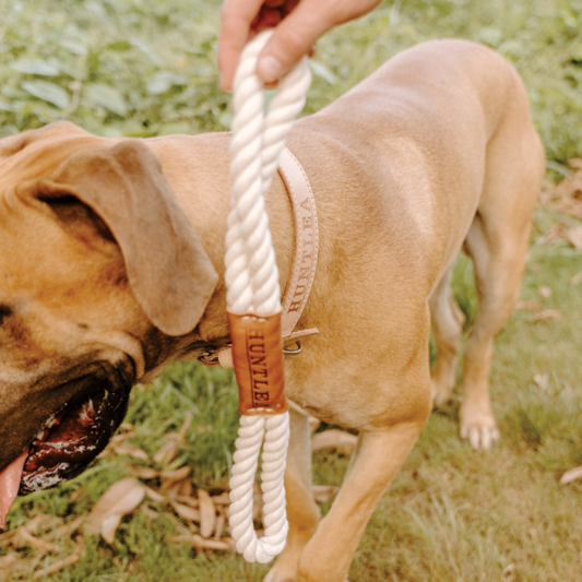 Huntlea Dog Toy Tug Leather Center