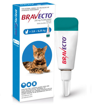 Bravecto Cat Medium