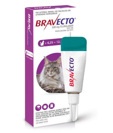 Bravecto Cat Large