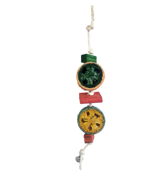 Akwa Disc Rattle Parrot Toy