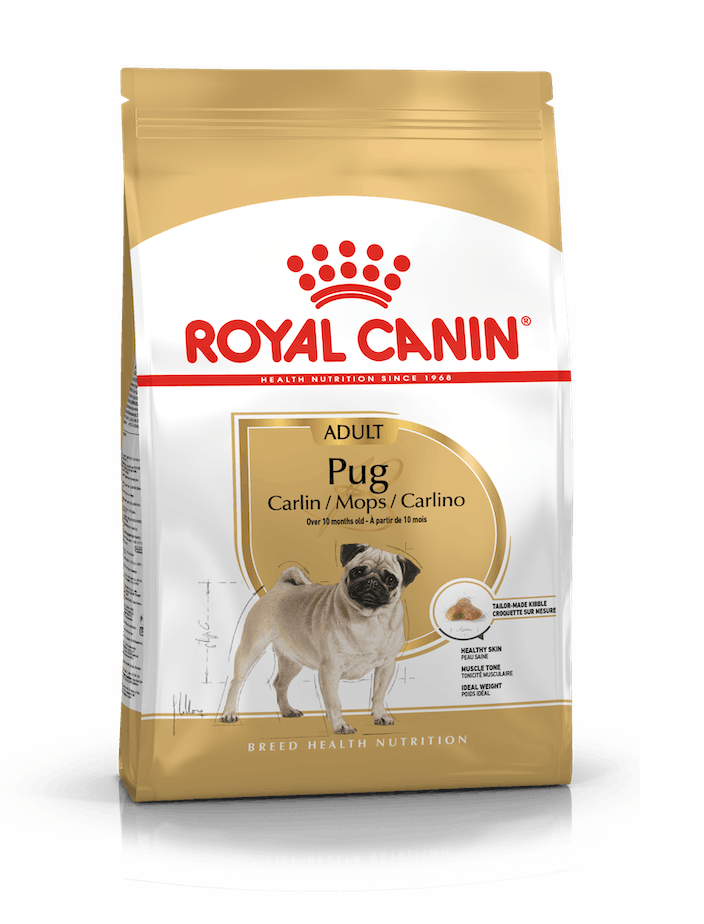 Royal Canin Pug Adult